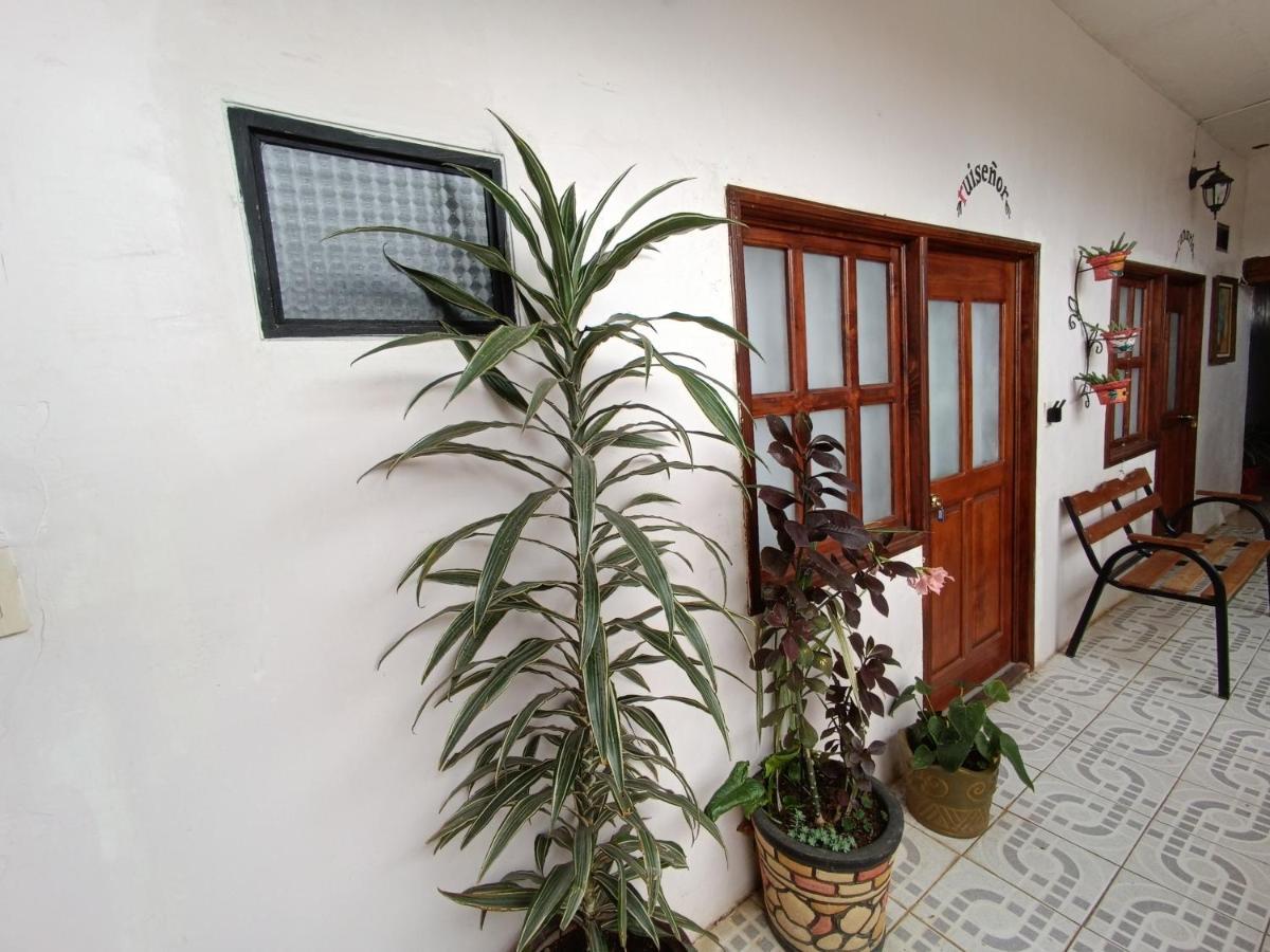 Casa Petirrojo - Habitaciones En 파츠쿠아로 외부 사진